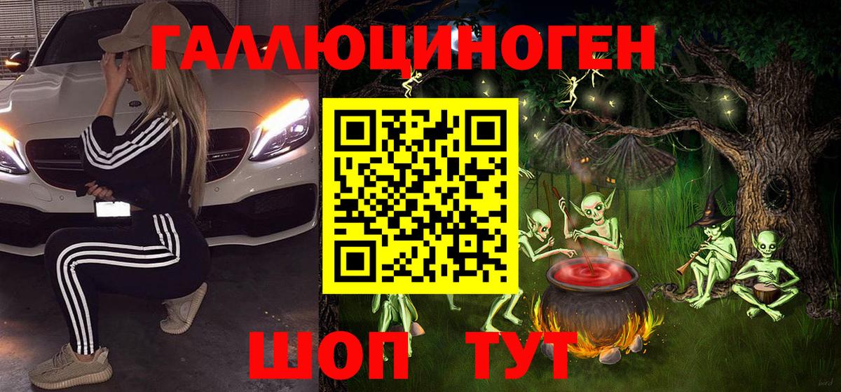 Псилоцибиновые грибы Psilocybine cubensis Великий Новгород